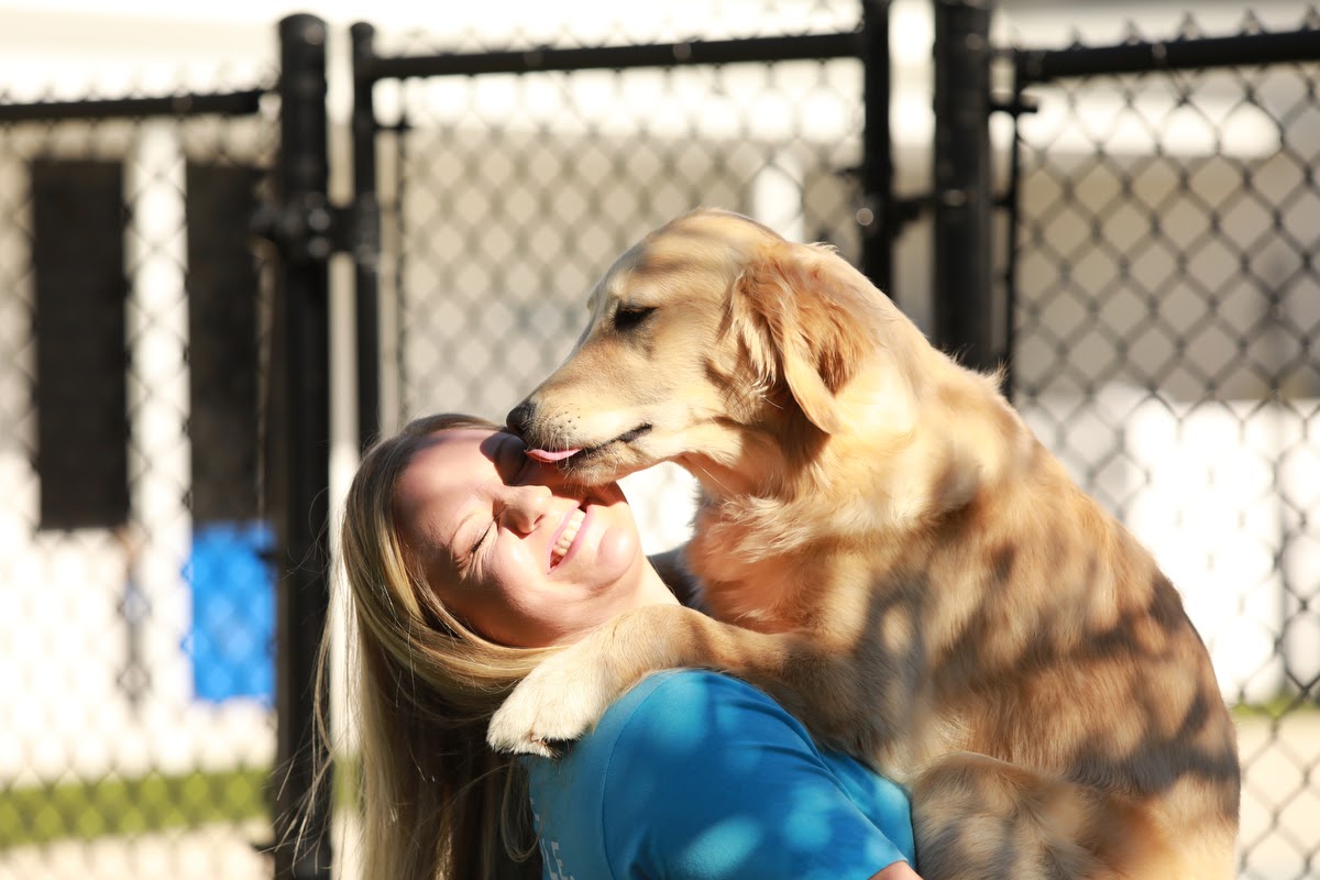 How Pets Say I Love You in Pet Paradise