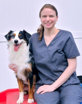 veterinarian