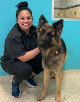 Pet Paradise Atlanta Airport Grooming