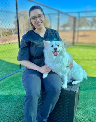 Pet Paradise Cedar Park Grooming