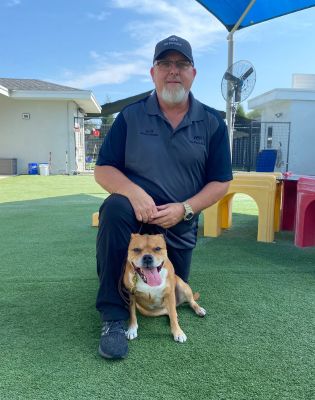 Pet Paradise Wesley Chapel Dog Training