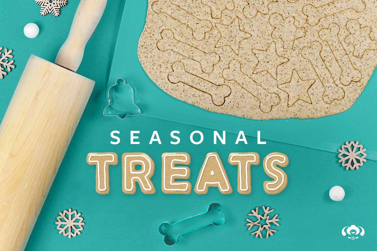 seasonal treats